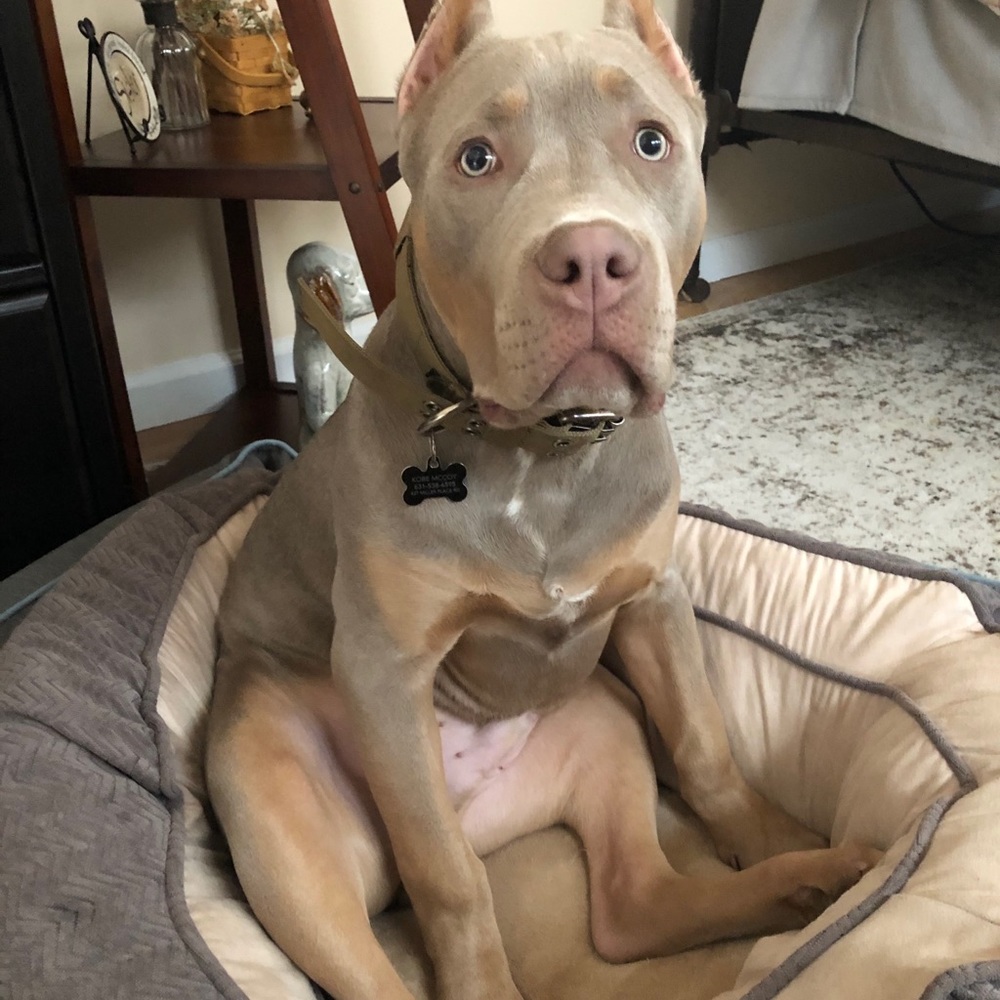 Meet your Posher, Tiana